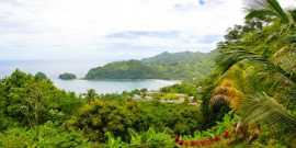 Apply for St. Lucia Citizenship | S. Lucia CBI – W, Dubai