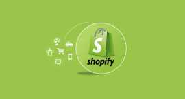 Hire Expert Shopify Developer -Brihaspati Infotech, Floral City