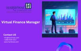 Virtual Finance Manager, San Diego