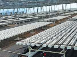 Empowering Farmers: The Role of Vertical Farming, Hyderabad
