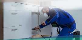 Safe and Reliable Bed Bug Pest Control Services in, Keysborough