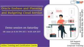 Oracle Essbase and Planning and Budgeting Cloud Se, Dubai