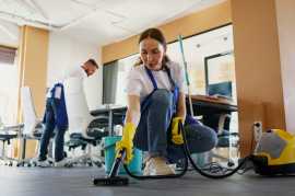 Carpet Cleaning Dublin - Premium Service for Your , Dublin