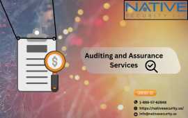Tribal Financial Auditing Experts, San Diego