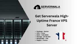 Get Serverwala High-Uptime France VPS Server, Achenheim