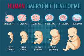 PG Diploma in Clinical Embryology, Madurai