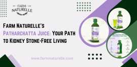 Farm Naturelle's Patharchatta Juice: Your Path to , Gurgaon