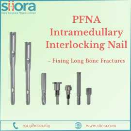 PFNA Intramedullary Interlocking Nail – Fixing Lon, Delhi