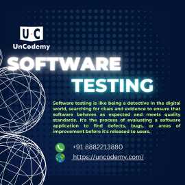 Excellence: The Ultimate Software Testing Checklis, Nashik