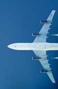 Lufthansa Airlines Kuwait Office       , Al Fahahil