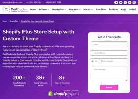 Shopify Plus Store with Custom Theme Development, New Hyde Park