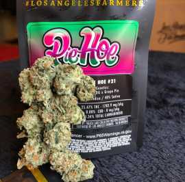 High THC Weed Delivered Discreetly To You In USA -, New York