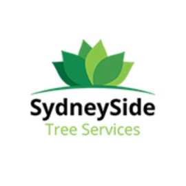 Tree Mulching Services Sydney: Transform Waste , Sydney