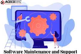 Expert Software Maintenance & Support Solution, Lucknow