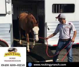 Horse Trucking Companies In California | Rocking Y, Joshua Tree