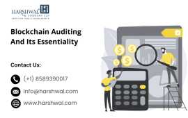 Top-Rated Blockchain Accounting Software, San Diego