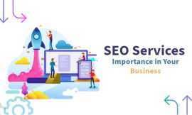 SEO Services In Jaipur, Jaipur