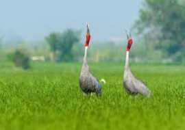 1 Day Outing Near Delhi for Family, Noida