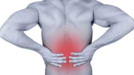 Physical Therapy for Back Pain, Madison