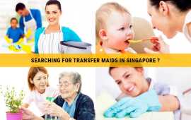 Top Transfer Helper Agency in Singapore, Bukit Timah