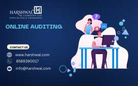 Expert Online Auditing | Harshwal’s Virtual Audit, San Diego
