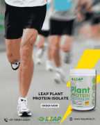 Optimum Nutrition Plant Protein Powder for a Plant, Delhi