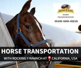California Horse Hauling Transport Rocking Y Ranch, Joshua Tree