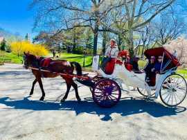 Christmas Lights Carriage Ride , New York