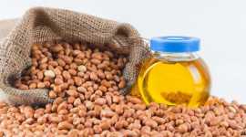 Buy Fresh Cold-Pressed Groundnut Oil | Jivitas , Thane