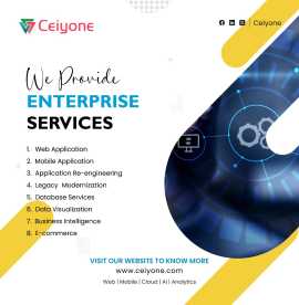 Software Company: Ceiyone TechWorks Private Limite, Coimbatore