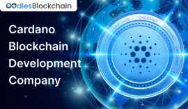 Cardano Blockchain Development Company, Sheridan