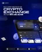 White Label Crypto Exchange Solutions, Madurai