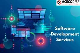 Professional Software Development Services, Lucknow