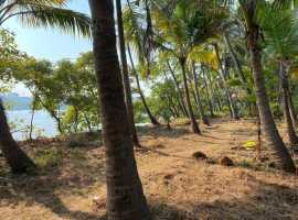 Luxury Residential Lake Side Plot in North Goa	, Kudal