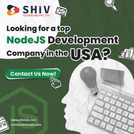 Cost-effective NodeJS Development Services in USA, New Hyde Park