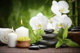 Spa Massage in Goa - Body Spa Goa, Calangute