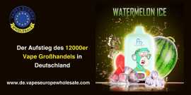 12000 Vape Großhandel | Hochwertige Einweg-Vapes, € 110
