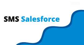 Send SMS from Salesforce 360smsApp, Laguna Beach