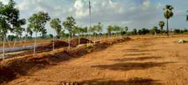 Mohidins Hamlet Gated Community Plots in North Goa, Panjim
