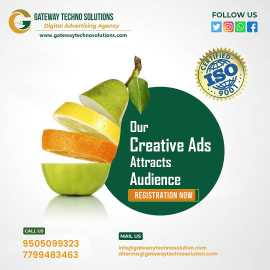 Expert Social Media Management in Hyderabad , Kurnool