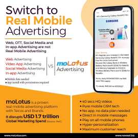 Seize a big mobile advertising revenue opportunity, Houston