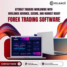 Go Global in Forex Trading With Our Clone script, Los Angeles