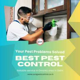 Best Pest Control Service in Dwarka, Delhi, Delhi