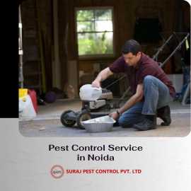 Trusted Pest Control Service in Noida, Noida