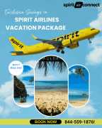 Savings on Spirit Airlines Vacation Package, New York
