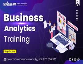 Business Analytics Certification Program, Noida