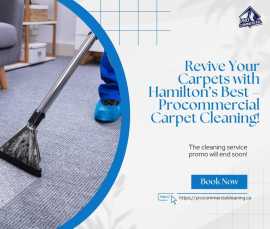 Revive Your Carpets with Hamilton’s Best – , Hamilton