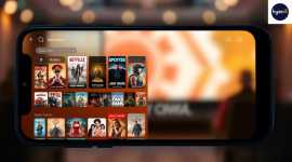 Launch Your Own Video Streaming App, International City