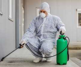 Leicester’s Leading Bed Bugs Control Specialist, $ 0