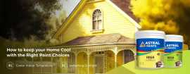 How to Keep Your Home Cool with the Right Paint, Ahmedabad